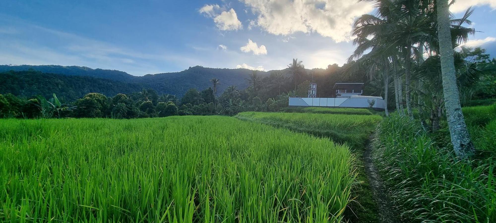 Utopiaku - Munduk Highlands Villa Exterior photo