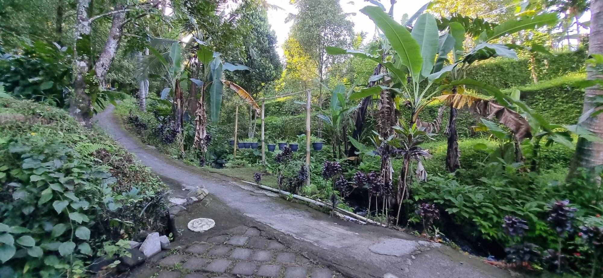 Utopiaku - Munduk Highlands Villa Exterior photo