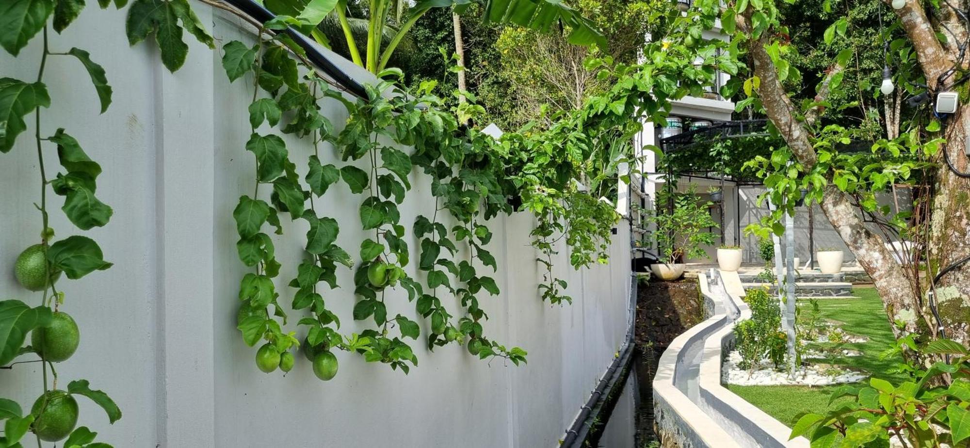 Utopiaku - Munduk Highlands Villa Exterior photo